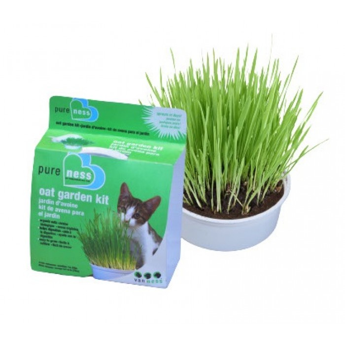 Van Ness Herbe a chat jardin avoine 28g Van Ness Herbe a chat jardin avoine 28g