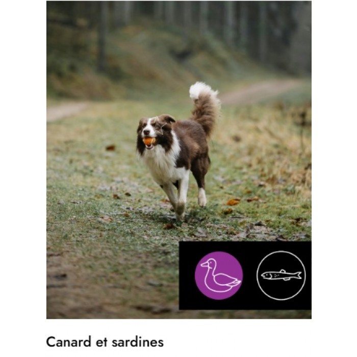 5 ETOILES Entretien Canard & Sardine 10lbs 5 ETOILES Entretien Canard & Sardine 10lbs