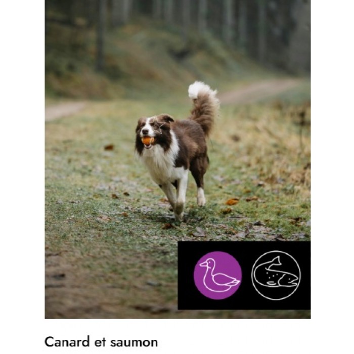 5 ETOILES Entretien Canard & Saumon 10 lbs 5 ETOILES Entretien Canard & Saumon 10 lbs