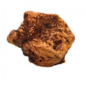 Racine de Bruyère Medium (301-500g / 5-6pouces) Racine de Bruyère Medium (301-500g / 5-6pouces)