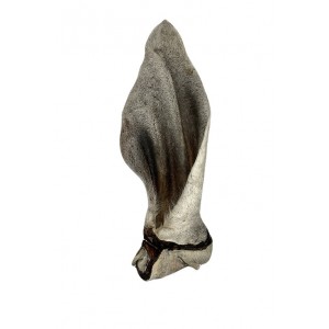 Oreille de boeuf géante fourrure Oreille de boeuf géante fourrure