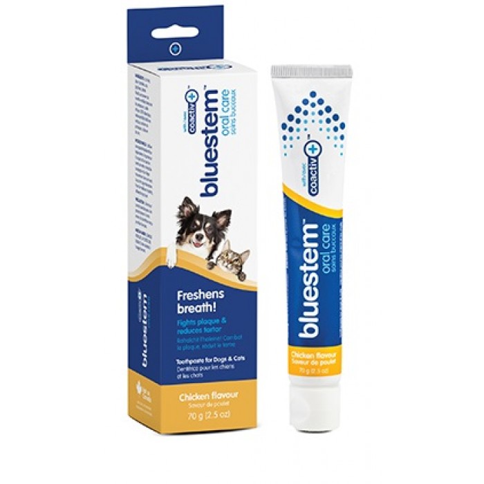 BLUESTEM Pate a Dent Chien & Chat saveur poulet 70gr