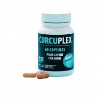 PATTEDEAU BIO Curcuplex 60cc PATTEDEAU BIO Curcuplex 60cc