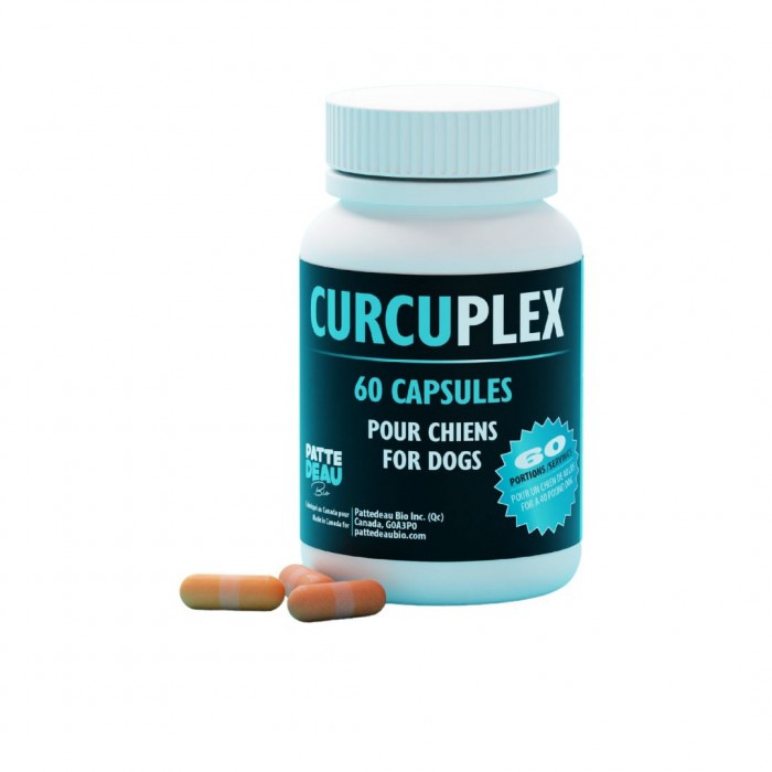 PATTEDEAU BIO Curcuplex 60cc PATTEDEAU BIO Curcuplex 60cc