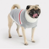 GF PET Pull Trekking Gris XXS  