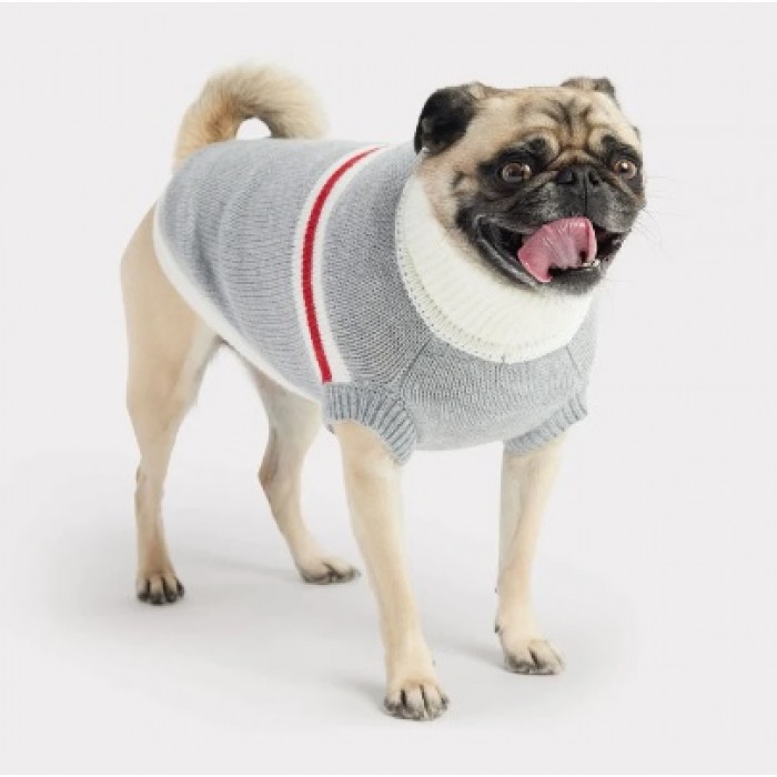 GF PET Pull Trekking Gris XXS GF PET Pull Trekking Gris XXS