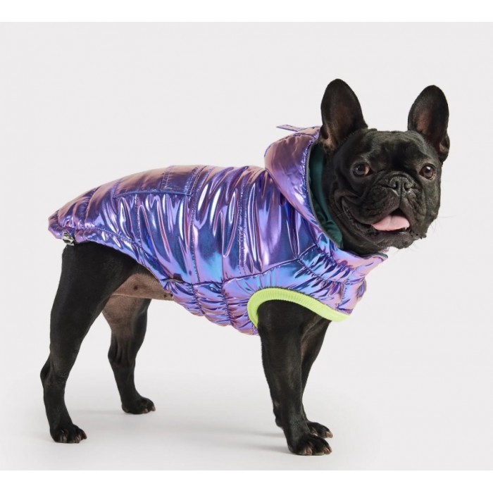 GF PET Manteau Iridescent Medium GF PET Manteau Iridescent Medium