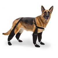 CAN POOCH Bottes Suspender Taille 3 Long CAN POOCH Bottes Suspender Taille 3 Long