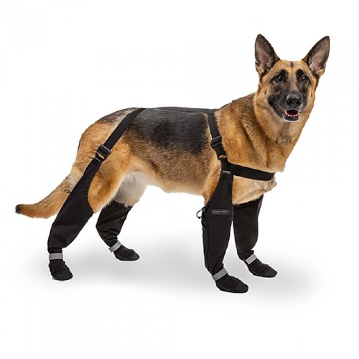 CAN POOCH Bottes Suspender Taille 2 Long CAN POOCH Bottes Suspender Taille 2 Long